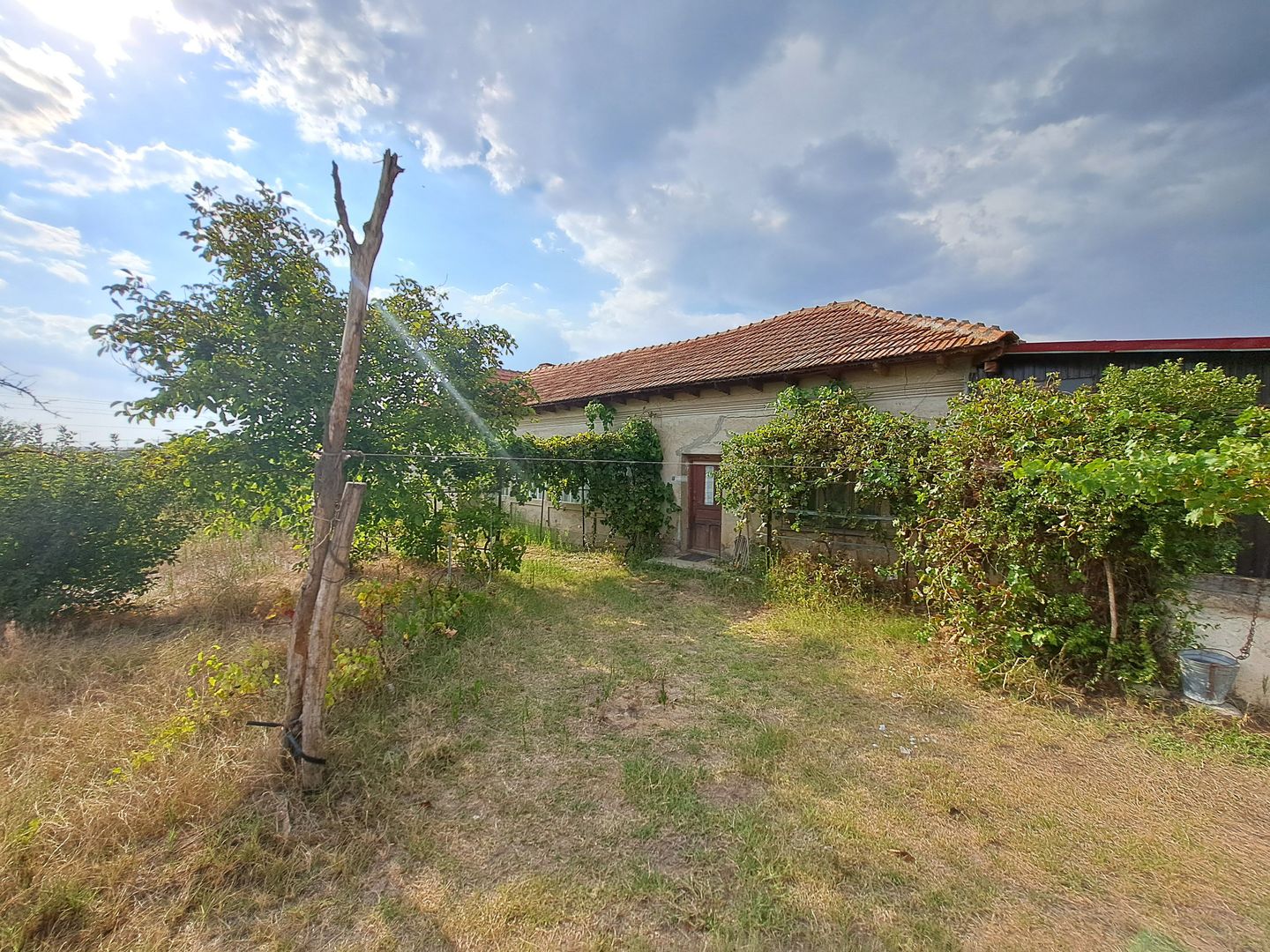 Casa + Teren 13.000 mp - Cervenia - Teleorman - Poză 13