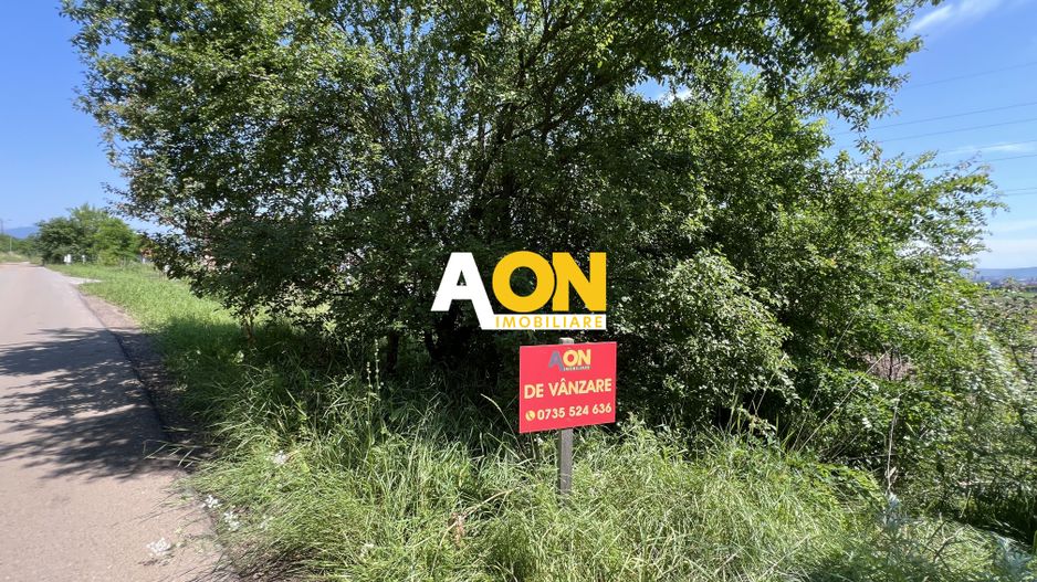 Teren de vanzare cu toate utilitatile si asfalt, 1001MP - Poză 3