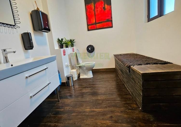 VILA PRESTIGIOASA | 10 CAMERE | FIRME | MULTIPLE ACTIVITATI | - Poză 13