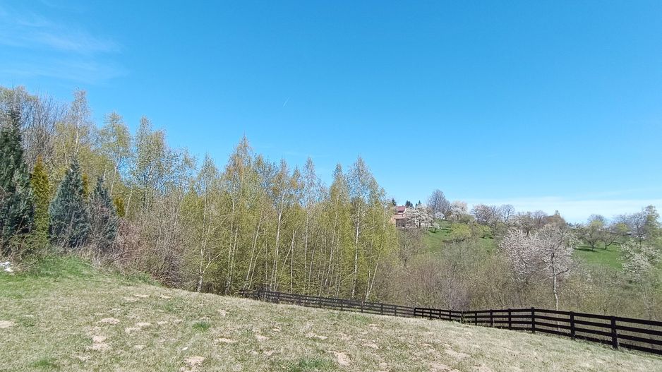 Teren intravilan cu priveliste frumoasa-Predelut - Poză 6