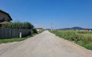 Terenuri Intravilane  Harman - Poză 17