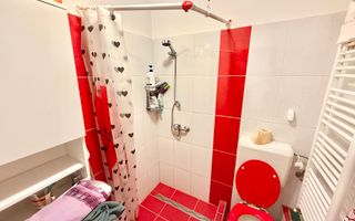 Garsonieră practică și accesibilă în zona Buziașului - Poză 5