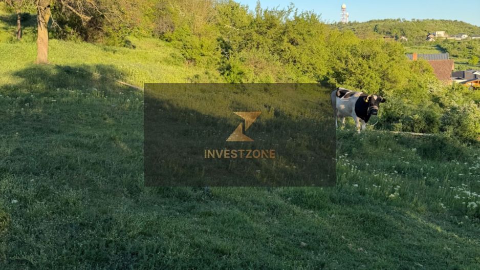 ⭐  Teren de 2.700 mp cu front generos – Ocazie în Oncea - Poză 5