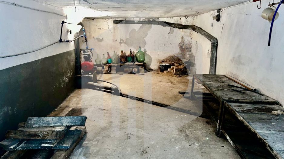 Casa de vanzare  in Talmacel-Teren 4000 mp cu livada+garaj - Poză 4