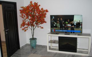 Apartament cu 2 camere decomandate | Zona Grădinii Botanice - Poză 4