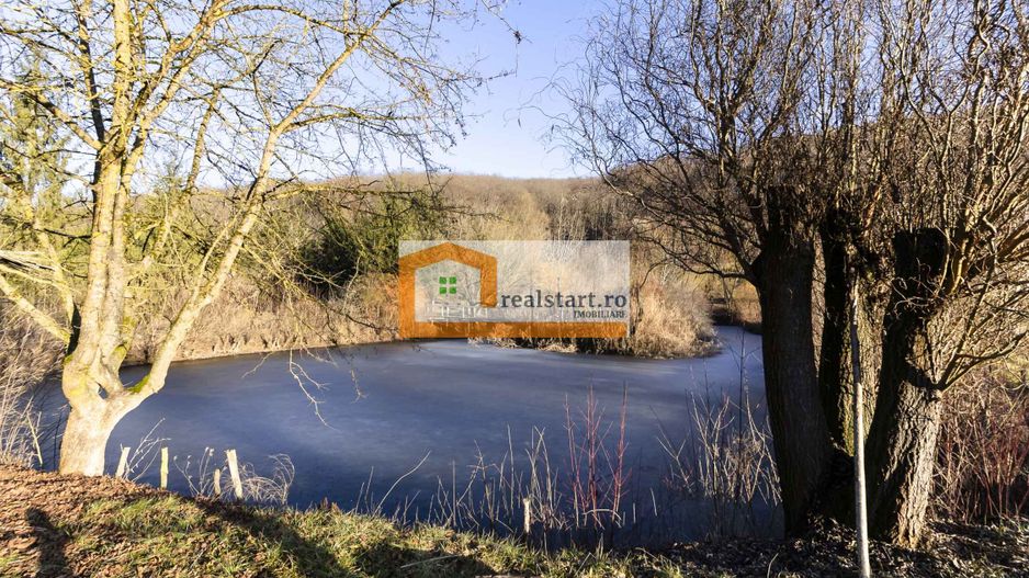 Langa Sighisoara, Inconjurata de Padure, Investitie, ROI min9% - Poză 47