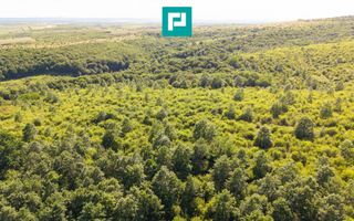 TEREN AGRICOL EXTRAVILAN  22.900 MP LIPOVA - Poză 6