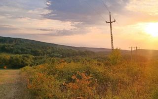 Teren de vanzare | Hidiselul de Sus | Bihor - Poză 1
