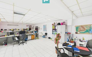 Hală de producție, cu birouri și teren, în Sebiș - Poză 34
