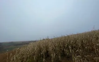 TEREN EXTRAVILAN | DOUA PARCELE 2.84 HA| DARMANESTI - Poză 15