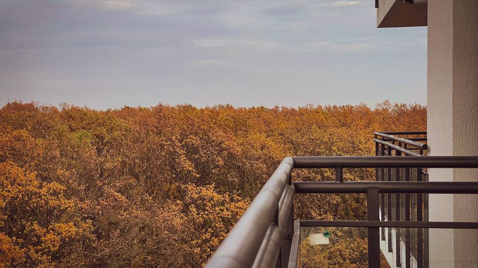 2 camere - Prima inchiriere - Denya Forest - Timisoara - Poză 17