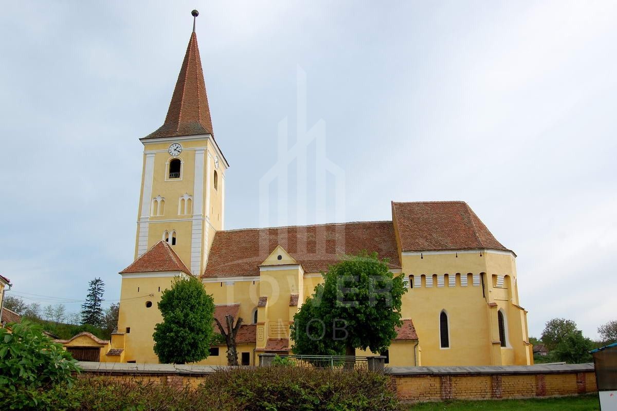 Teren de vanzare - 1000 mp - Sura Mare - Poză 3