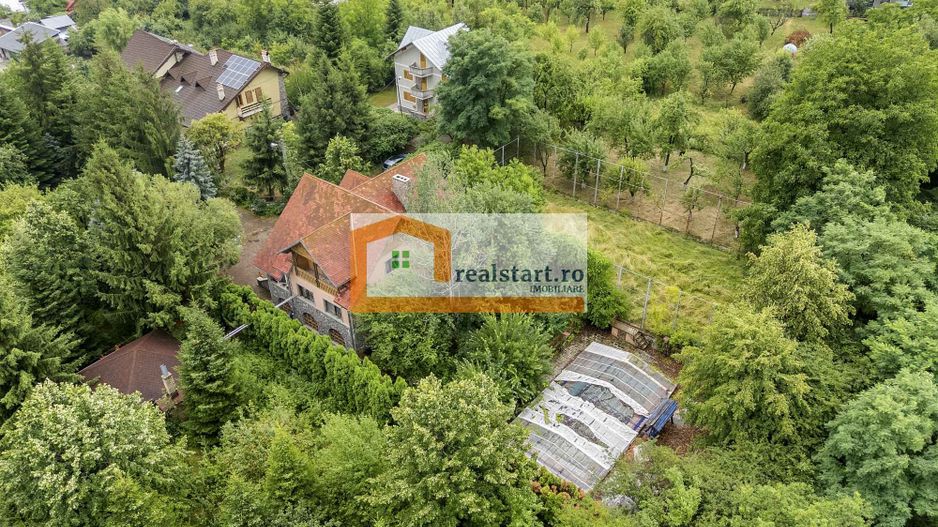 Vedere directa la Padure, 5000mp teren, Vila D+P+1E+M, semineu, foisor - Poză 47