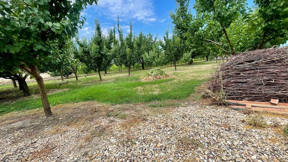 Casa cu 4 camere si livada la 25 km de Oradea - Poză 16