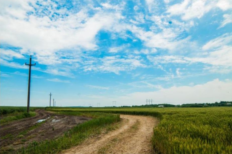 Teren intravilan in comuna Glina - Poză 6
