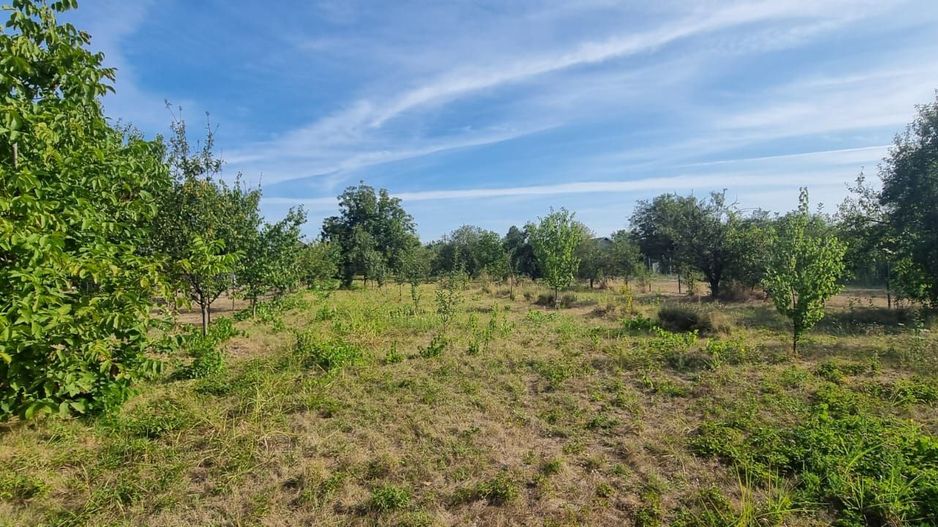 Teren 2000 mp de vânzare – Comana, deschidere la lac, aproape de Parcu - Poză 12