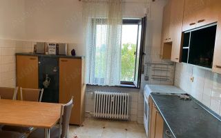 Apartament Vatra Luminoasa/Parcul Național - Poză 5