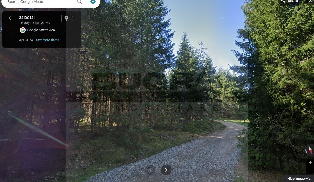 Teren intravilan, 1400 mp, Balcesti, Belis - Poză 2