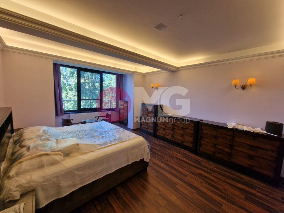 Imobil unicat de inchiriat- 2500 mp- teren 4000 mp- piscina interioara - Poză 8