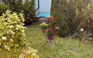 AFACERE PENSIUNE CU 8 CAMERE DE ÎNCHIRIAT - ZONA BĂNEASA - Poză 30