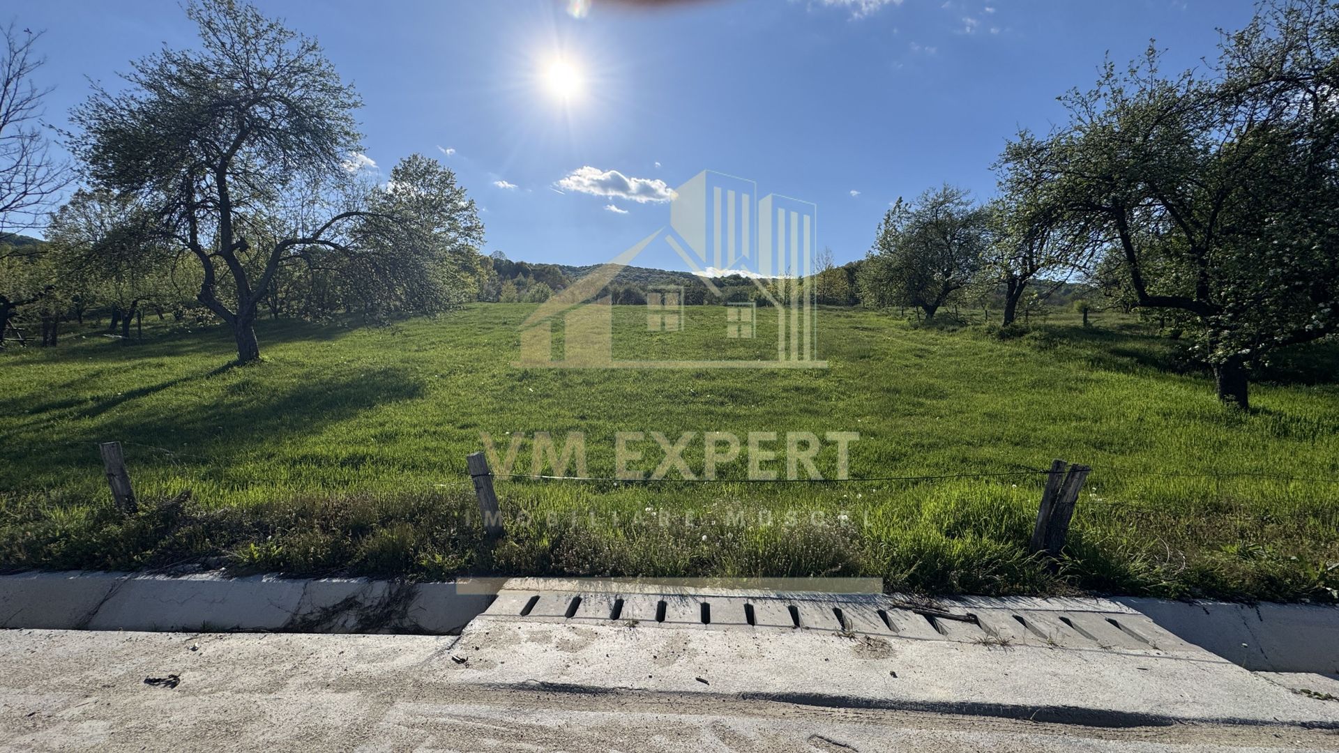 TEREN 4568 MP MIHĂEȘTI ARGEȘ - Poză 4