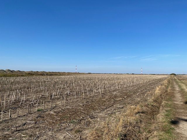 Teren agricol în Zona Sagului - Poză 4