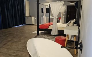 Garsoniera regim hotelier sau spatiu comercial 46 mp utili Terezian - Poză 7