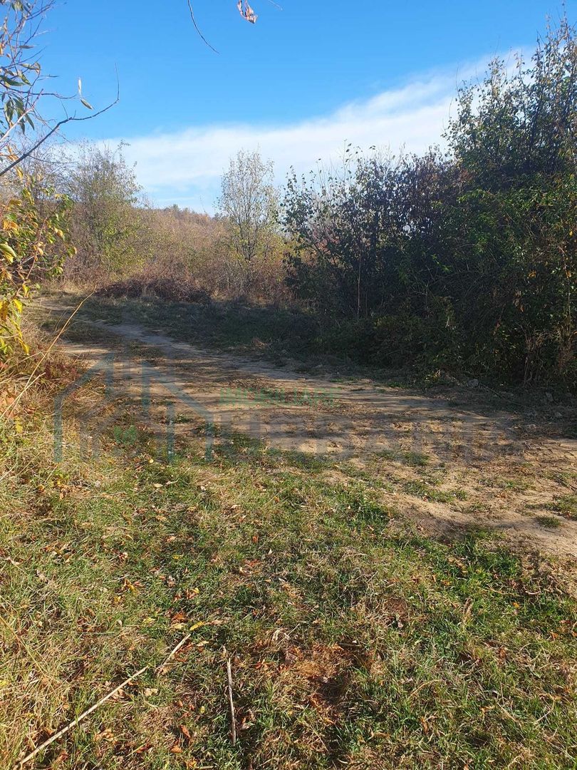 Teren extravilan de vânzare – Tomesti sat, zona deluroasa - Poză 2