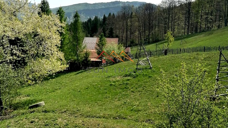Teren Extravilan 23000 mp-potential turistic Valea Doftanei - Poză 4