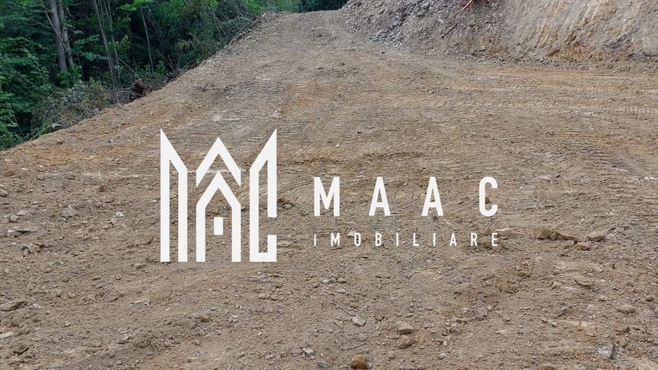 5000 teren in Muntii Apuseni I Pregatit pentru constructie - Poză 14
