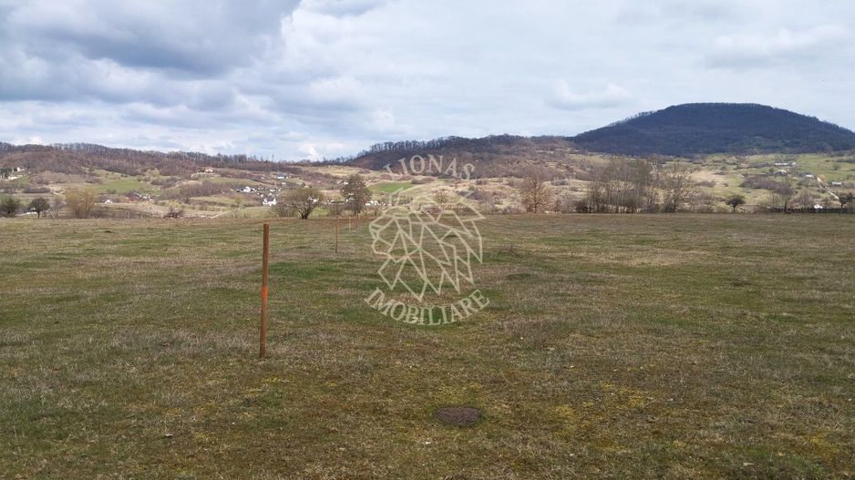 Teren 3700 mp - vedere panoramic - Zona Str. Ghinzii - Poză 3