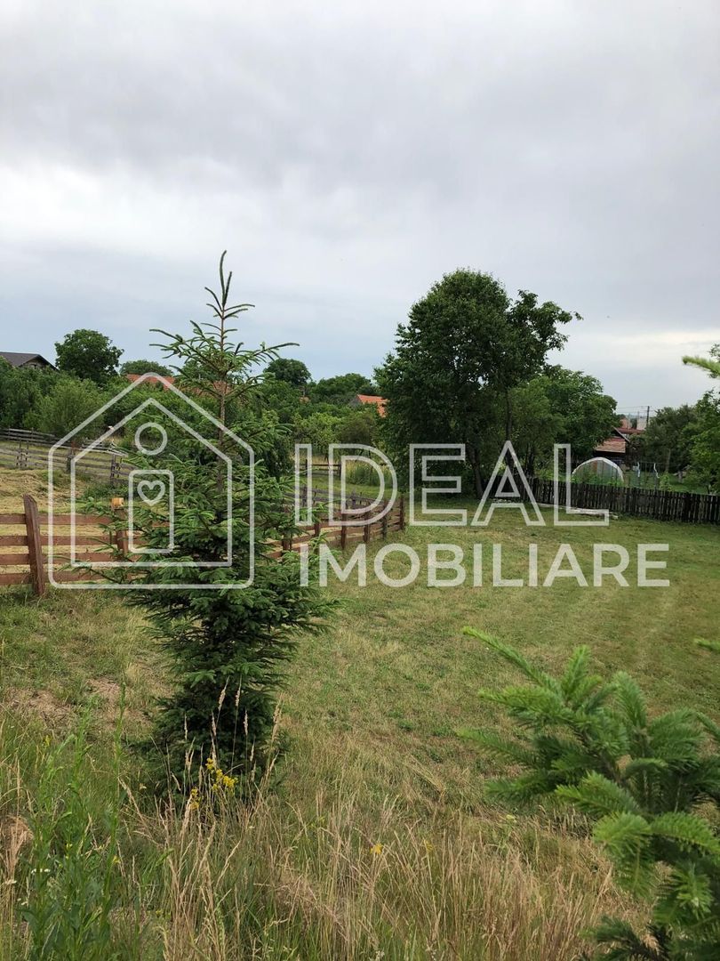 Teren intravilan | 1829mp | Cârțișoara - Poză 6