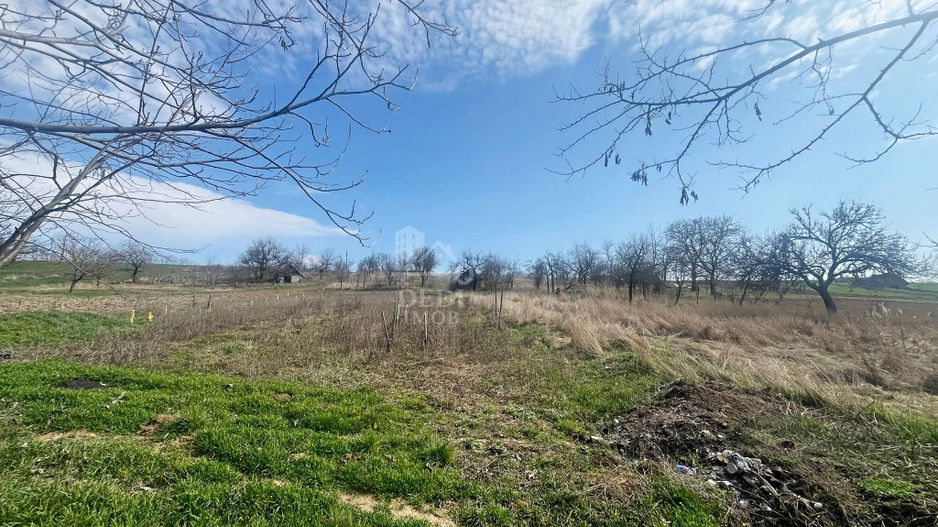 Casă cu 2 locuințe, teren intravilan 7062 mp Cetariu, Bihor - Poză 10