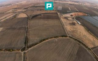 Teren arabil 68,800mp Zimandu Nou - Poză 5