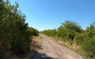 Vând teren langa Timișoara excelent pentru un parc de fotovoltaice - Poză 9