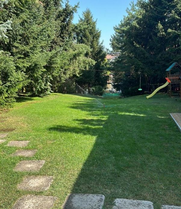 Vila deosebita pe malul lacului Snagov - Poză 2