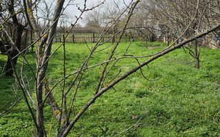 Teren intravilan 2619 mp cu 2 case  - Ciocanesti Jud. Dambovita - Poză 4