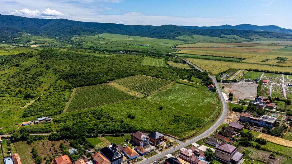 PRET REDUS Oportunitate de afacere, Teren cu vita de vie - Poză 5