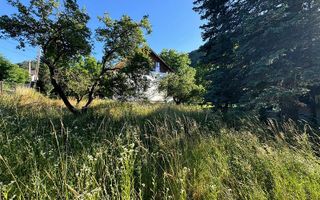 Teren Intravilan 555 mp de Vânzare Bran – Central | 23.28 m Deschidere Stradala - Poză 3