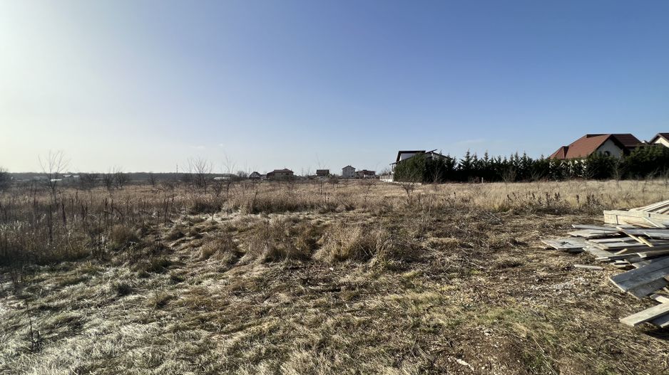 Teren Balotesti - Privighetorilor (Parcului Edenland) - Poză 2