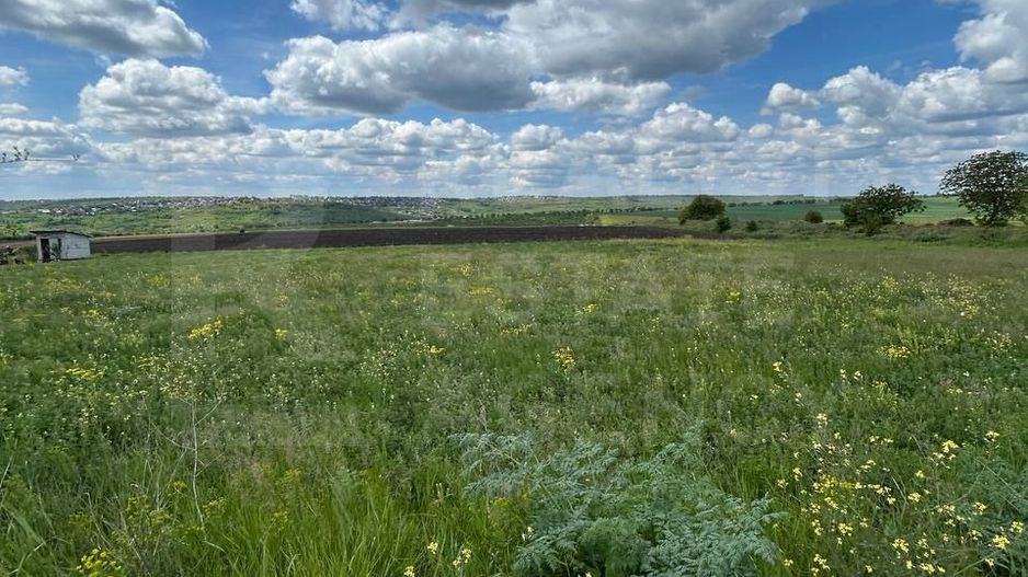 Vânzare, teren , 10 ari, Cruzești - Poză 4