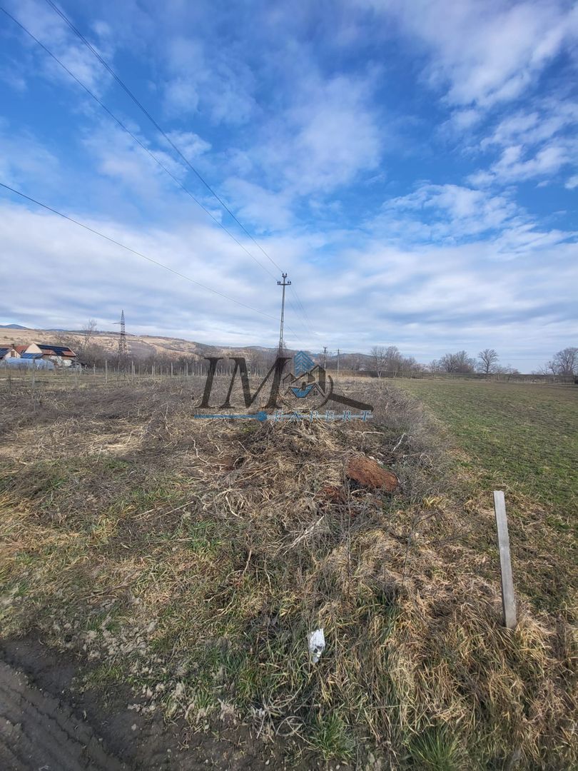 Teren Intravilan în Vintu de Jos - Poză 2