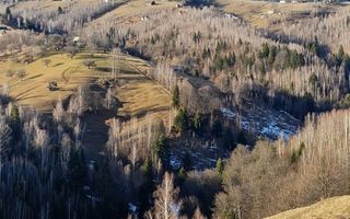 Refugiu în Inima Munților I Casa in Moeciu I Bran - Poză 15