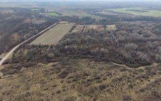 Teren extravilan 95.23 ha lângă Caransebeș - Poză 11