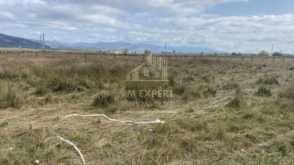 TEREN INTRAVILAN 5000 MP, GRUI, CAMPULUNG - Poză 6