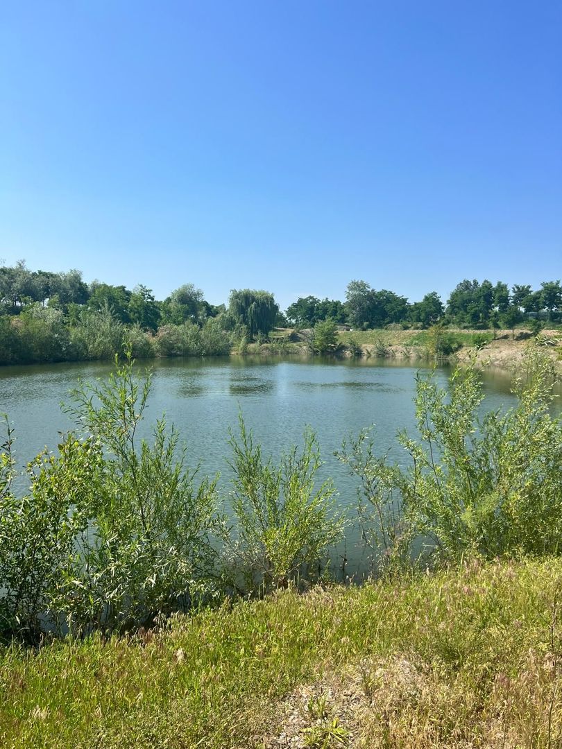 Iaz Piscicol Bacau Saucesti - Poză 11