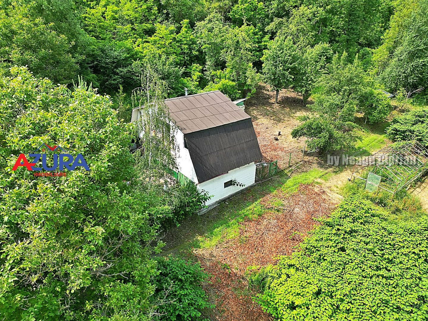 Casă de vânzare la liziera pădurii – Comuna Bogați, Argeș - Poză 11