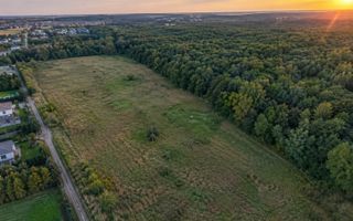 TEREN PREMIUM DE VÂNZARE | TUNARI – PRIMA LINIE LA PĂDURE - Poză 2