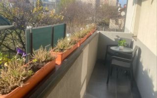 Etaj 1 P.F. Ap. Sos. Nicolina (Roxema - Hotel Capitol) # 0 # - Poză 10