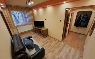 Ap 2 camere, renovat, amenajat et 2,bloc izolat, Sagului - Poză 15